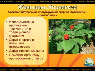 Женьшень КорейскийЖеньшень Корейский
CCодержит натуральные стимулирующие энергию компоненты –одержит натуральные стимулирующие энергию компоненты –
««гинзенозиды»гинзенозиды»
• Используется на
протяжении
тысячелетий в
традиционной
медицине
• Дарит энергию и
повышает
выносливость
• Дарит жизненные силы
• Помогает организму
противостоять стрессу
 