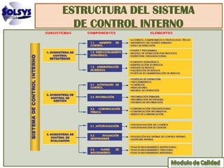 ESTRUCTURA DEL SISTEMA
  DE CONTROL INTERNO
 