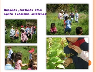 Xogamos , corrimos  polo campo  e comimos  acederilla!