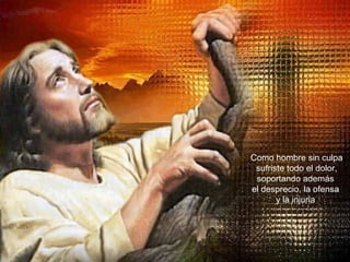Como hombre sin culpa sufriste todo el dolor, soportando además  el desprecio, la ofensa  y la injuria  