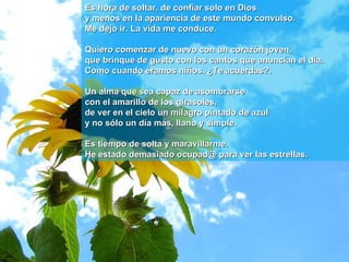 Es hora de soltar, de confiar solo en Dios y menos en la apariencia de este mundo convulso.  Me dejo ir. La vida me conduce. Quiero comenzar de nuevo con un corazón joven,  que brinque de gusto con los cantos que anuncian el día.  Como cuando éramos niños. ¿Te acuerdas?.  Un alma que sea capaz de asombrarse  con el amarillo de los girasoles,  de ver en el cielo un milagro pintado de azul  y no sólo un día más, llano y simple. Es tiempo de solta y maravillarme. He estado demasiado ocupad@ para ver las estrellas. 