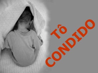 Tô CONDIDO 