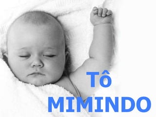 Tô MIMINDO 