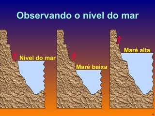Observando o nível do mar Nível do mar Maré baixa Maré alta 