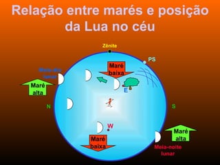 Relação entre marés e posição da Lua no céu Zênite Meio-dia lunar PS N S E W Meia-noite lunar Maré alta Maré alta Maré baixa Maré baixa 