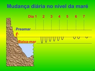 Mudança diária no nível da maré Baixa-mar Preamar Dia 1 2 3 4 5 6 7 