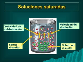Soluciones saturadas Velocidad de cristalización Velocidad de disolución Soluto disuelto Soluto no disuelto 