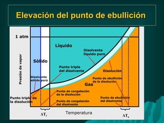 Elevación del punto de ebullición   1 atm Sólido  Líquido  Gas  Disolvente sólido puro Punto triple del disolvente Disolvente líquido puro Disolución Punto de ebullición de la disolución Punto de ebullición del disolvente Punto de congelación del disolvente Punto de congelación de la disolución Punto triple de la disolución Presión de vapor Δ T f Δ T b Temperatura 