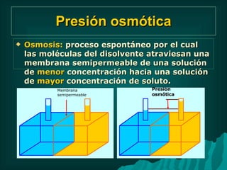 Presión osmótica Osmosis:  proceso espontáneo por el cual las moléculas del disolvente atraviesan una membrana semipermeable de una solución de  menor  concentración hacia una solución de  mayor  concentración de soluto. Membrana  semipermeable Presión osmótica 