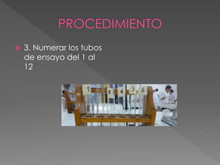  3. Numerar los tubos
de ensayo del 1 al
12
 