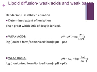 +
Lipoid diffusion- weak acids and weak bases
Henderson-Hasselbalch equation
 Determines extent of ionization
pKa = pH at which 50% of drug is ionized.
 WEAK ACIDS:
log (ionized form/nonionized form)= pH – pKa
 WEAK BASES:
log (nonionized form/ionized form)= pH – pKa
)
][
][
log(
HP
P
pKpH a


)
][
][
log( 

BH
B
pKpH a
 