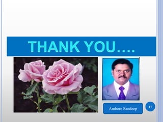 17
Ambore Sandeep
 