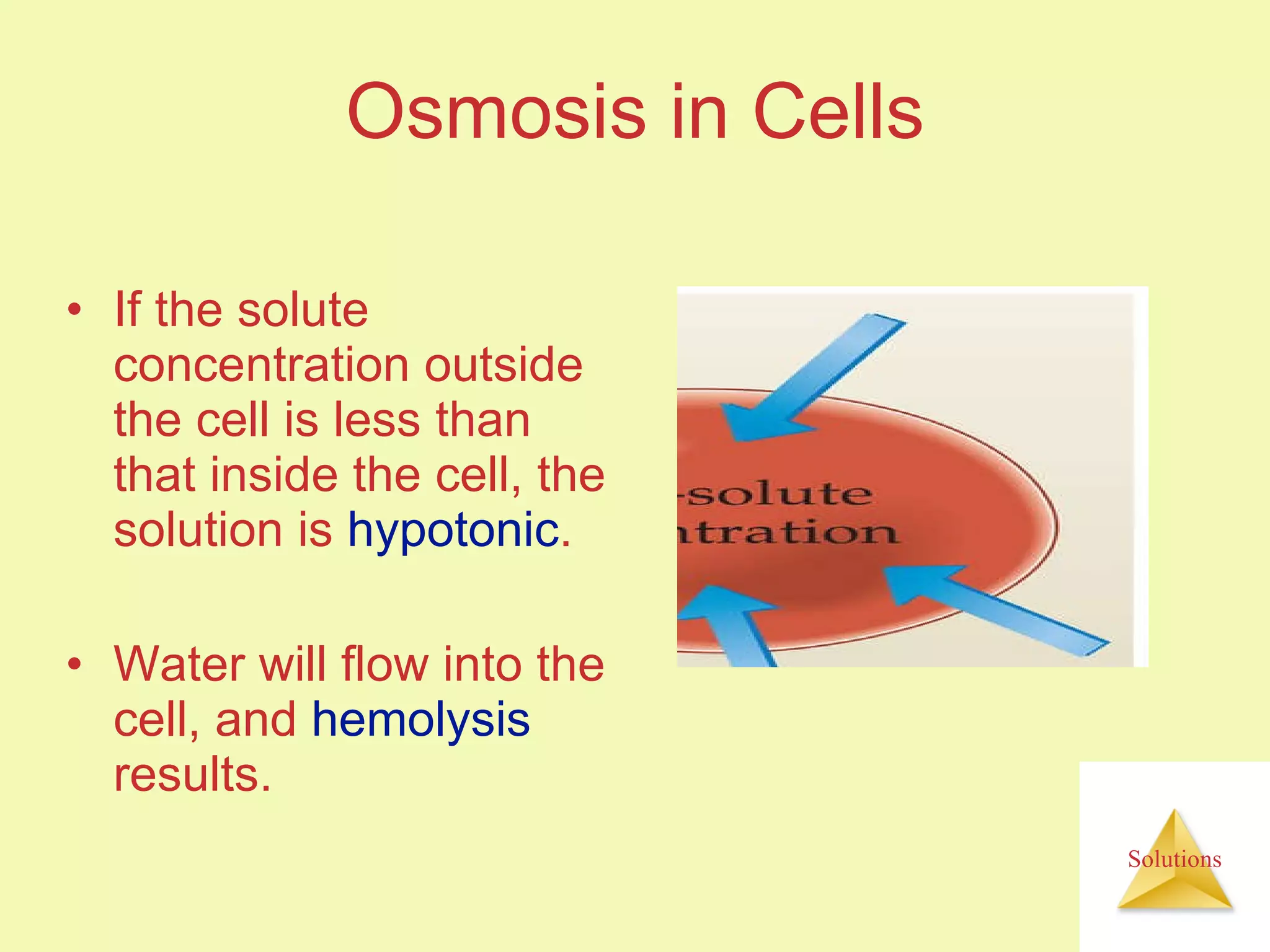 Osmosis in Cells If the solute concentration outside the cell is less than that inside the cell, the solution is  hypotonic . Water will flow into the cell, and  hemolysis  results. 