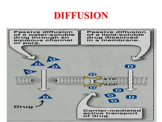 DIFFUSION
 