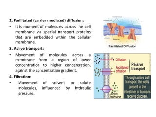 2. Facilitated (carrier mediated) diffusion:
• It is moment of molecules across the cell
membrane via special transport proteins
that are embedded within the cellular
membrane.
3. Active transport:
• Movement of molecules across a
membrane from a region of lower
concentration to higher concentration,
against the concentration gradient.
4. Filtration:
• Movement of solvent or solute
molecules, influenced by hydraulic
pressure.
 