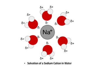 • Solvation of a Sodium Cation in Water
 