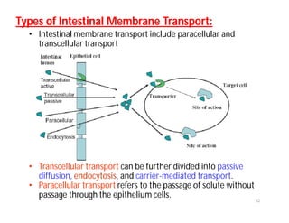 32
Types of Intestinal Membrane Transport:Types of Intestinal Membrane Transport:
• Intestinal membrane transport include paracellular and
transcellular transport
• Transcellular transport can be further divided into passive
diffusion, endocytosis, and carrier-mediated transport.
• Paracellular transport refers to the passage of solute without
passage through the epithelium cells.
 