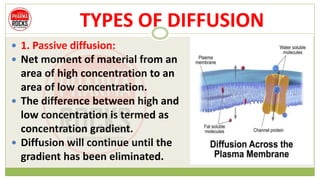 TYPES OF DIFFUSION
 1. Passive diffusion:
 Net moment of material from an
area of high concentration to an
area of low concentration.
 The difference between high and
low concentration is termed as
concentration gradient.
 Diffusion will continue until the
gradient has been eliminated.
 