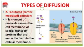 TYPES OF DIFFUSION
 2. Facilitated (carrier
mediated) diffusion:
 It is moment of
molecules across the
cell membrane via
special transport
proteins that are
embedded within the
cellular membrane.
 