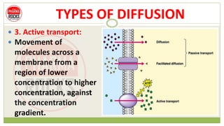 TYPES OF DIFFUSION
 3. Active transport:
 Movement of
molecules across a
membrane from a
region of lower
concentration to higher
concentration, against
the concentration
gradient.
 