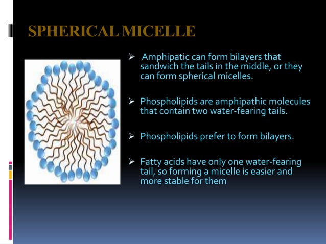 Solubilization | PPTX | Chemistry | Science