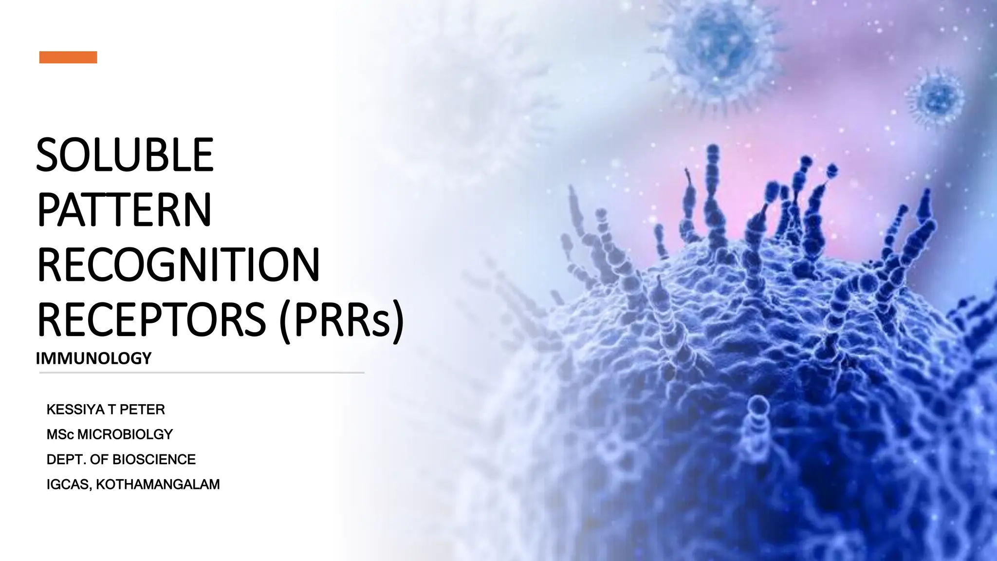 SOLUBLE
PATTERN
RECOGNITION
RECEPTORS (PRRs)
IMMUNOLOGY
KESSIYA T PETER
MSc MICROBIOLGY
DEPT. OF BIOSCIENCE
IGCAS, KOTHAMANGALAM
 