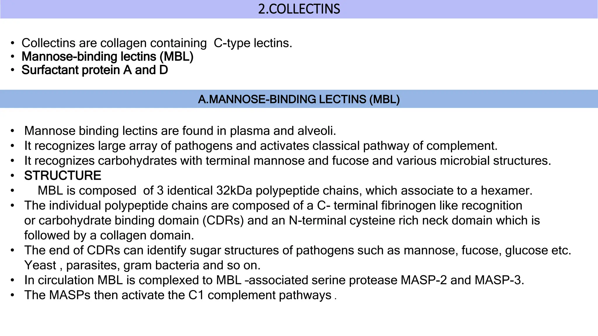 2.COLLECTINS
• Collectins are collagen containing C-type lectins.
• Mannose-binding lectins (MBL)
• Surfactant protein A and D
A.MANNOSE-BINDING LECTINS (MBL)
• Mannose binding lectins are found in plasma and alveoli.
• It recognizes large array of pathogens and activates classical pathway of complement.
• It recognizes carbohydrates with terminal mannose and fucose and various microbial structures.
• STRUCTURE
• MBL is composed of 3 identical 32kDa polypeptide chains, which associate to a hexamer.
• The individual polypeptide chains are composed of a C- terminal fibrinogen like recognition
or carbohydrate binding domain (CDRs) and an N-terminal cysteine rich neck domain which is
followed by a collagen domain.
• The end of CDRs can identify sugar structures of pathogens such as mannose, fucose, glucose etc.
Yeast , parasites, gram bacteria and so on.
• In circulation MBL is complexed to MBL –associated serine protease MASP-2 and MASP-3.
• The MASPs then activate the C1 complement pathways .
 