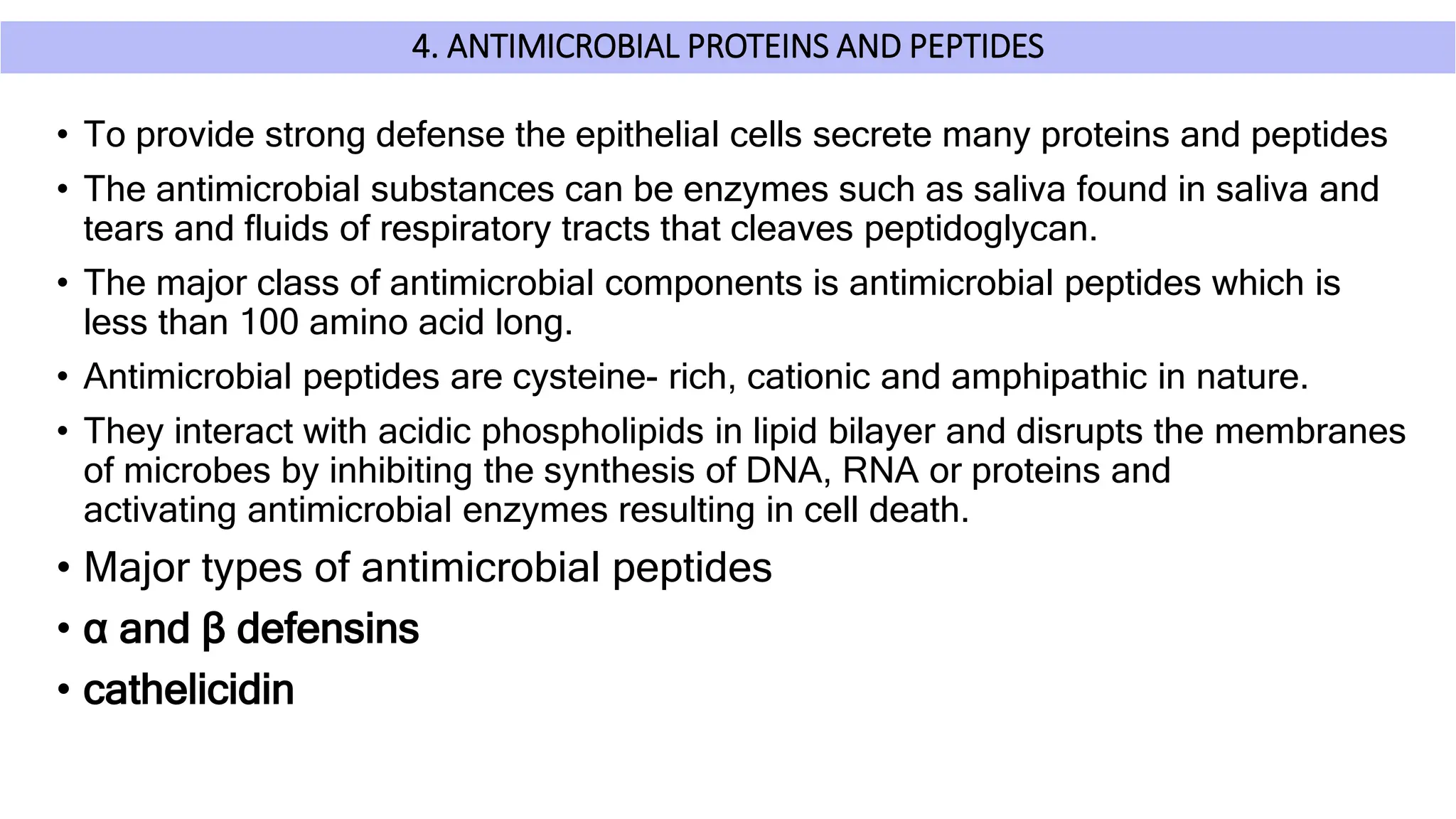 4. ANTIMICROBIAL PROTEINS AND PEPTIDES
• To provide strong defense the epithelial cells secrete many proteins and peptides
• The antimicrobial substances can be enzymes such as saliva found in saliva and
tears and fluids of respiratory tracts that cleaves peptidoglycan.
• The major class of antimicrobial components is antimicrobial peptides which is
less than 100 amino acid long.
• Antimicrobial peptides are cysteine- rich, cationic and amphipathic in nature.
• They interact with acidic phospholipids in lipid bilayer and disrupts the membranes
of microbes by inhibiting the synthesis of DNA, RNA or proteins and
activating antimicrobial enzymes resulting in cell death.
• Major types of antimicrobial peptides
• α and β defensins
• cathelicidin
 
