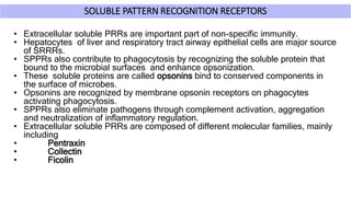 SOLUBLE PATTERN RECOGNITION RECEPTORS
• Extracellular soluble PRRs are important part of non-specific immunity.
• Hepatocytes of liver and respiratory tract airway epithelial cells are major source
of SRRRs.
• SPPRs also contribute to phagocytosis by recognizing the soluble protein that
bound to the microbial surfaces and enhance opsonization.
• These soluble proteins are called opsonins bind to conserved components in
the surface of microbes.
• Opsonins are recognized by membrane opsonin receptors on phagocytes
activating phagocytosis.
• SPPRs also eliminate pathogens through complement activation, aggregation
and neutralization of inflammatory regulation.
• Extracellular soluble PRRs are composed of different molecular families, mainly
including
• Pentraxin
• Collectin
• Ficolin
 