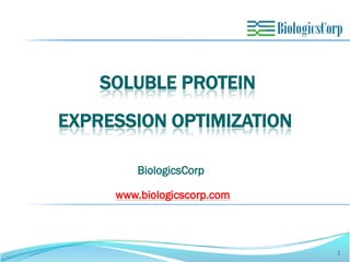 SOLUBLE PROTEIN
EXPRESSION OPTIMIZATION
BiologicsCorp
1
www.biologicscorp.com
 