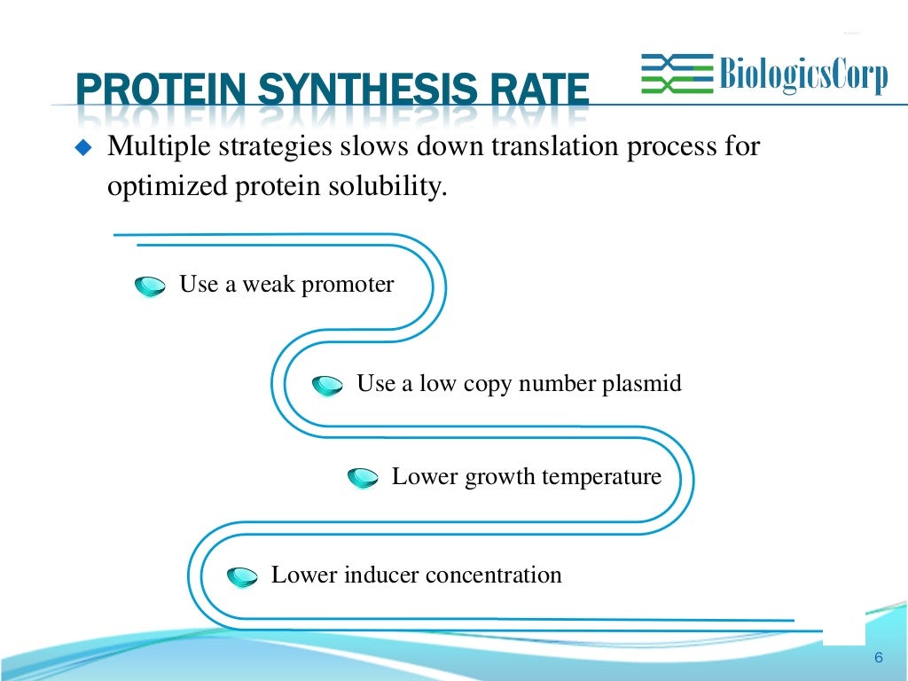 Soluble protein expression optimization