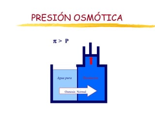 PRESIÓN OSMÓTICA

   π> P




    Agua pura      Disolución



        Osmosis Normal
 