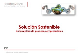 Solución Sostenible
en la Mejora de procesos empresariales
2015
| Optimización de Procesos y Sistemas Industriales
 