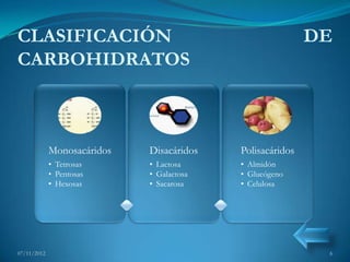 CLASIFICACIÓN                                              DE
CARBOHIDRATOS



             Monosacáridos   Disacáridos   Polisacáridos
             • Tetrosas      • Lactosa     • Almidón
             • Pentosas      • Galactosa   • Glucógeno
             • Hexosas       • Sacarosa    • Celulosa




07/11/2012                                                  6
 