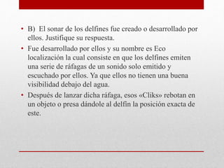 • B) El sonar de los delfines fue creado o desarrollado por
ellos. Justifique su respuesta.
• Fue desarrollado por ellos y su nombre es Eco
localización la cual consiste en que los delfines emiten
una serie de ráfagas de un sonido solo emitido y
escuchado por ellos. Ya que ellos no tienen una buena
visibilidad debajo del agua.
• Después de lanzar dicha ráfaga, esos «Cliks» rebotan en
un objeto o presa dándole al delfín la posición exacta de
este.
 