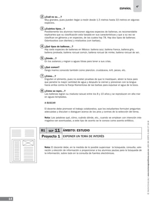 ESPAÑOL
14
4°
www.montenegroeditores.com.mxladasincosto018002773636
¿Cuál es su….?
Muy grandes, pues pueden llegar a medir desde 1.5 metros hasta 33 metros en algunas
especies.
¿Cuántos tipos…?
Posiblemente los alumnos mencionen algunas especies de ballenas, es recomendable
explicarles que su clasificación esta basada en sus características y que a su vez se
clasifican en géneros y en especies, de las cuales hay 78. Hay dos tipos de ballenas:
Odontocetos (con dientes) y misticetos (con barbas).
¿Qué tipos de ballenas…?
Hay siete especies de ballenas en México: ballena azul, ballena franca, ballena gris,
ballena jorobada, ballena rorcual común, ballena rorcual de minke, ballena rorcual de sei.
¿Dónde…?
En los océanos y migran a aguas tibias para tener a sus crías.
¿Qué comen?
Fango marino conocido también como plancton, crustáceos, krill, peces, etc.
¿Cómo…?
Engullen el alimento, pues no existen pruebas de que lo mastiquen, abren la boca para
que penetre la mayor cantidad de agua y después la cierran y presionan con la lengua
hacia arriba contra la franja filamentosa de las barbas para expulsar el agua de la boca.
¿Cómo se repro…?
Las ballenas logran su madurez sexual entre los 8 y 10 años y se reproducen en alta mar
en aguas templadas.
A buscar
El docente debe promover el trabajo colaborativo, que los estudiantes formulen preguntas
adecuadas y discutan o dialoguen acerca de los pros y contras de la selección del tema.
Nota: Las palabras qué, cómo, cuándo dónde, etc., cuando se emplean con intención inte-
rrogativa van acentuadas, a este tipo de acento se le conoce como acento enfático.
Nota: El docente debe, en la medida de lo posible supervisar la búsqueda, consulta, valo-
ración y elección de información o proporcionar a los alumnos pautas para la búsqueda de
la información, sobre todo en la consulta de fuentes electrónicas.
2
3
4
5
6
7
8
B1 SEP 11 ÁMBITO: ESTUDIO
Proyecto 1 EXPONER UN TEMA DE INTERÉS
 