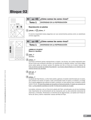197
www.montenegroeditores.com.mxladasincosto018002773636
Reproducción en plantas
¿Dónde...? ¿Cómo...?
El alumno responderá estas preguntas con sus conocimientos previos como un preámbulo
al tema siguiente.
¿Semilla o planta?
Observa e identifica
¿Qué...?
Semillas.
¿Cómo...?
Las flores contienen partes reproductoras: el polen y los óvulos, los cuales madurarán para
formar frutos que contienen semillas y se transforman en plantas nuevas. Los frutos largos
como estos ejotes se llaman vainas. En plantas con flor, el fruto es el ovario maduro. El
fruto se forma cuando ha habido fecundación. Los óvulos desarrollados en el interior de los
ovarios forman las semillas.
¿De qué...?
Del tallo.
¿Cómo...?
La planta del frijol florece, y la flor tiene pistilo y gineceo. El pistilo está formado por el ovario,
que contiene los óvulos; el estilo o tubo comunicador entre el ovario y el exterior, y el estig-
ma, la parte pegajosa que adhiere el polen y produce un tubo polínico que va desde el estilo
hasta el óvulo. El óvulo fecundado se envuelve en forma de semilla. El ovario se convierte en
fruto. La fecundación acontece en la flor. El fruto de la planta es el ejote.
Los ejotes, entonces, son un fruto de la planta del frijol, considerados una de las hortalizas
más importantes de la alimentación de los mexicanos, por su alto contenido nutricional de
vitaminas y minerales. Pertenecen a la familia de las leguminosas. Los ejotes son frutos en
forma de vaina y dentro madurarán nuevas semillas de frijol.
B2 SEP 43 ¿Cómo somos los seres vivos?
Tema 1 Diversidad en la reproducción
B2 SEP 44 ¿Cómo somos los seres vivos?
Tema 1 Diversidad en la reproducción
Bloque 02
1 2
1
2
3
4
1
1
3
2
4
2
 
