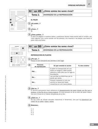ciencias naturales
199
4°
www.montenegroeditores.com.mxladasincosto018002773636
El polen
¿El confeti...?
Sí.
¿Creen...?
Sí.
¿Cómo podrían...?
El talco se pegaría a nuestros dedos y podríamos llevarlo hasta donde está el confeti y así
cubrir algunos, tal y como sucede con las plantas y los insectos o las abejas, que llevan el
polen hacia las flores.
reproducción en plantas
¿Por qué...?
Porque el aire transporta las semillas a otro lugar.
Procesos
de reproducción
En qué consiste la acción Tu obra creativa
Poli...
El polen es transportado de una
antera al estigma y debe quedar
adherido a éste para que se logre la
fecundación.
Dis...
Las semillas se diseminan por la
acción del viento.
Ger...
Proceso mediante el cual una
semilla se desarrolla hasta
convertirse en una nueva planta.
¿Qué es...?
El término polinización hace referencia al desplazamiento del polen desde una flor que lo
produce, a otra flor de su misma especie. En este proceso se da la unión del polen mascu-
lino con el óvulo en el interior del gineceo de la flor.
¿Cómo se...?
No hay unión de células sexuales masculinas ni femeninas, sino que se reproducen por
medio de los tallos, hojas y raíces.
Relaciona...
1. a
2. c
3. d
4. b
B2 SEP 49 ¿Cómo somos los seres vivos?
Tema 1 Diversidad en la reproducción
B2 SEP 50 ¿Cómo somos los seres vivos?
Tema 1 Diversidad en la reproducción
1
1
2
2
3
3
4
5
1
2
3
1
3
5
4
2
 