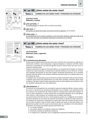 CIENCIAS NATURALEs

B2 SEP
3

1

59 ¿Cómo somos los seres vivos?

Tema 1

2

6º

Cambios en los seres vivos y procesos de extinción

Buscando pistas
Reflexiona y concluye

1 ¿Con qué huella…?
La huella del gato se parece más a la huella encontrada.

2 ¿Qué otras…?
Sus dedos y la planta de la pata, así como su forma en general, son similares.

3 ¿Cómo están…?
La estratificación es el proceso mediante el cual se forman distintas capas del suelo de la
Tierra, este acomodo nos posibilita interpretar la ubicación de los fósiles.

B2 SEP
1
2
3

4

60 ¿Cómo somos los seres vivos?

Tema 1

Cambios en los seres vivos y procesos de extinción

Las extinciones
Selecciono, busco y argumento
En equipos…

Existen varias hipótesis acerca de las causas de la extinción de los dinosaurios, algunas sin
fundamento científico, otras fantasiosas y algunas basadas en evidencia científica. Hasta
hace poco se pensaba en una extinción gradual durante miles de años que tuvo como resultado la extinción total.
Cuando se descubrió el cráter en Chicxulub, México, en la península de Yucatán, se reveló el
impacto de un gran asteroide o cometa entre el periodo Cretácico y la era Terciaria. La teoría
más aceptada actualmente es que este impacto de grandes dimensiones es el causante
de dicha extinción debido a los cambios climáticos que pudo haber en el planeta hace unos
65 millones de años.
La hipótesis aún es discutida ya que la extinción ya había comenzado antes de este impacto
y, además, otros seres vivos sobrevivieron a él, entre ellos: tortugas, cocodrilos, peces, aves
y anfibios. Este gran impacto habría provocado nubes de polvo y gases que ocultaron al Sol
por completo y provocaron aún más destrucción.

2 ¿Qué fenómenos…?

La extinción es la desaparición de una especie o grupo de especies debido a causas naturales, como un cambio en las condiciones del planeta o de su hábitat, o por afectaciones del
ser humano a las condiciones del medio ambiente o directamente sobre dicha especie. Al
morir el último espécimen o cuando queda sólo una pequeña población de un solo género
(sólo machos o sólo hembras), se considera que la especie está extinta.
Las causas para la extinción de una o varias especies pueden ser: endógenas de la biosfera
(cambios naturales en el proceso de evolución del planeta), la acción de súper volcanes o
los impactos de meteoritos o asteroides (se calcula que cada 100 millones de años ocurre
uno de estos impactos, hasta la fecha serían 6 desde que existe la vida pluricelular). Las
glaciaciones pueden ser otra causa de extinciones pero se consideran como secundarias.
En general, las causas que pueden provocar extinciones son:
1.	 Un cambio climático.
2.	 Una anoxia debida a la oxidación masiva de cadáveres.
3.	 Emisiones masivas de productos volcánicos.
4.	 El impacto de un asteroide, con la consiguiente saturación atmosférica de polvo.

238

www.montenegroeditores.com.mx lada sin costo 01 800 277 36 36

1 La extinción de los dinosaurios.

 