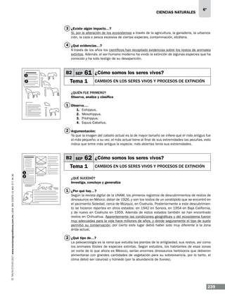 CIENCIAS NATURALEs

6º

3 ¿Existe algún impacto…?
Sí, por la alteración de los ecosistemas a través de la agricultura, la ganadería, la urbanización, la caza o pesca excesiva de ciertas especies, contaminación, etcétera.

4 ¿Qué evidencias…?
A través de los años los científicos han recopilado evidencias sobre los restos de animales
extintos. Además, el ser humano moderno ha vivido la extinción de algunas especies que ha
conocido y ha sido testigo de su desaparición.

1
2

B2 SEP

61 ¿Cómo somos los seres vivos?

Tema 1

Cambios en los seres vivos y procesos de extinción

¿Quién fue primero?
Observa, analiza y clasifica

1 Observa….
1.	
2.	
3.	
4.	

Eohippus.
Mesohippus.
Pilohippus.
Equus Caballus.

2 Argumentación:
Ya que la imagen del caballo actual es la de mayor tamaño se infiere que el más antiguo fue
el más pequeño; a su vez, el más actual tiene al final de sus extremidades las pezuñas, esto
indica que entre más antigua la especie, más abiertas tenía sus extremidades.

B2 SEP

62 ¿Cómo somos los seres vivos?

www.montenegroeditores.com.mx lada sin costo 01 800 277 36 36

Tema 1
1
2

Cambios en los seres vivos y procesos de extinción

¿Qué sucedió?
Investiga, concluye y generaliza

1 ¿Por qué hay…?
Según la revista digital de la UNAM, los primeros registros de descubrimientos de restos de
dinosaurios en México, datan de 1926, y son los restos de un ceratópido que se encontró en
el yacimiento Soledad, cerca de Múzquiz, en Coahuila. Posteriormente a este descubrimiento se hicieron reportes en otros estados: en 1942 en Sonora, en 1954 en Baja California,
y de nuevo en Coahuila en 1959. Además de estos estados también se han encontrado
restos en Chihuahua. Aparentemente las condiciones geográficas y del ecosistema fueron
muy adecuadas para la vida hace millones de años, y donde seguramente el tipo de suelo
permitió su conservación, por cierto este lugar debió haber sido muy diferente a la zona
árida actual.

2 ¿Qué tipo de…?
La paleoecología es la rama que estudia las plantas de la antigüedad, sus restos, así como
los animales fósiles de especies extintas. Según estudios, los habitantes de esas zonas
(el norte de lo que ahora es México), serían enormes dinosaurios herbívoros que debieron
alimentarse con grandes cantidades de vegetación para su sobrevivencia, por lo tanto, el
clima debió ser caluroso y húmedo (por la abundancia de lluvias).

239

 
