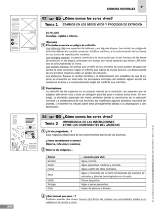 CIENCIAS NATURALEs

B2 SEP

6º

65 ¿Cómo somos los seres vivos?

Tema 1

Cambios en los seres vivos y procesos de extinción

En peligro
Investiga, registra e informa
1

(Ejemplo)

2

1 Principales especies en peligro de extinción

Las ballenas: Algunas especies de ballenas, y en algunas etapas, han estado en peligro de
extinción debido a la cacería comercial, al tráfico marítimo, a la contaminación de los mares
en sus zonas de reproducción, etcétera.
Las tortugas marinas: La pesca comercial y la destrucción por el ser humano de las áreas
de anidación en las playas, amenazan con acabar con varias especies que llevan 150 millones de años habitando la Tierra.
Los corales marinos: Se piensa que un 80% de los arrecifes de coral pueden desaparecer
dentro de unos decenios; según un informe que publica la revista Science, una tercera parte
de los arrecifes coralinos están en peligro de extinción.
Los elefantes: Aunque el cambio climático y la deforestación son culpables de que la especie se encuentre en esta lista, los principales enemigos del elefante siguen siendo los
cazadores furtivos y la comercialización ilegal del marfil de sus colmillos.

2 Conclusiones:
La extinción de las especies es un proceso natural de la evolución, las especies que se
adaptan sobreviven más y otras se extinguen para dar paso a nuevos seres vivos. Sin embargo, la alteración acelerada del medio ambiente debido al crecimiento de la población
humana y a consecuencia de sus acciones, ha modificado algunos procesos naturales del
planeta, y el hombre ha influido sobre ellos principalmente debido a la urbanización y contaminación.

66 ¿Cómo somos los seres vivos?

Tema 2
1
2

Importancia de las interacciones
entre los componentes del ambiente

1 ¿Te has preguntado…?
3
4

Esta respuesta dependerá de los conocimientos previos de los alumnos.
¿Todos necesitamos lo mismo?
Observa, reflexiona y concluye

2 Observa las imágenes…
Animal

…necesita para vivir.

Venado

Agua y hierba.

Buitre

Agua, pequeños roedores y carroña.

Puma

Agua y carne de otros animales.

Seta

Agua y minerales de la tierra enriquecida por cuerpos de
animales y plantas desintegrados en el suelo.

Delfín

Peces pequeños.

Tortuga

Algas y peces pequeños.

Grillo

Hojas de plantas y árboles.

3 ¿Qué piensas que pase…?
Pudieran suceder dos cosas: buscar otra forma de resolver sus necesidades vitales o no
adaptarse al cambio y morir.

240

www.montenegroeditores.com.mx lada sin costo 01 800 277 36 36

B2 SEP

 
