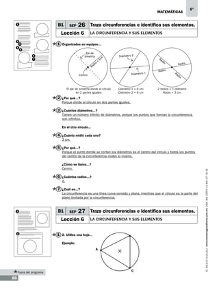 matemáticas

B1

1

SEP

26 Traza circunferencias e identifica sus elementos.

Lección 6
2
4

6°

la circunferencia y sus elementos

1 Organizados en equipos...

3
5

Eje de
simetría

6
7

m

o
di

=

3c

Diámetro 2

Ra

di

o

Radio

Ra

Diámetro 1

Centro

El eje de simetría divide al círculo
en 2 partes iguales

Diámetro 1 = 6 cm
Diámetro 2 = 6 cm

Radio

Ra

di

o

2 radios = 1 diámetro
Radio = 3 cm

2 ¿Por qué...?
Porque divide al círculo en dos partes iguales.

3 ¿Cuántos diámetros...?
Tienen un número infinito de diámetros, porque los puntos que forman la circunferencia
son infinitos.
En el otro círculo...

4 ¿Cuánto midió cada uno?
3 cm.

5 ¿Por qué...?

¿Cómo se llama...?
Centro.

6 ¿Cuántos radios...?
2.

7 ¿Cuál es...?
La circunferencia es una línea curva cerrada y plana, mientras que el círculo es la parte del
plano limitada por la circunferencia.

1

B1

SEP

27 Traza circunferencias e identifica sus elementos.

Lección 6
2

la circunferencia y sus elementos

1 2. Utiliza una hoja...
Ejemplo:
A

Fuera del programa

86

C

www.montenegroeditores.com.mx lada sin costo 01 800 277 36 36

Porque el punto donde se cortan los diámetros es el centro del círculo y todos los puntos
del centro de la circunferencia miden lo mismo.

 