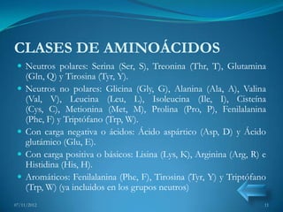 CLASES DE AMINOÁCIDOS
  Neutros polares: Serina (Ser, S), Treonina (Thr, T), Glutamina
     (Gln, Q) y Tirosina (Tyr, Y).
    Neutros no polares: Glicina (Gly, G), Alanina (Ala, A), Valina
     (Val, V), Leucina (Leu, L), Isoleucina (Ile, I), Cisteína
     (Cys, C), Metionina (Met, M), Prolina (Pro, P), Fenilalanina
     (Phe, F) y Triptófano (Trp, W).
    Con carga negativa o ácidos: Ácido aspártico (Asp, D) y Ácido
     glutámico (Glu, E).
    Con carga positiva o básicos: Lisina (Lys, K), Arginina (Arg, R) e
     Histidina (His, H).
    Aromáticos: Fenilalanina (Phe, F), Tirosina (Tyr, Y) y Triptófano
     (Trp, W) (ya incluidos en los grupos neutros)
07/11/2012                                                            11
 