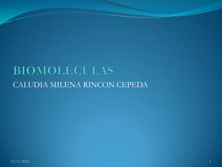 CALUDIA MILENA RINCON CEPEDA




07/11/2012                      1
 