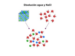 Disolución agua y NaCl
 