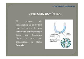 …PROPIEDADES COLIGATIVAS




                PRESIÓN OSMÓTICA:

El        proceso        de
transferencia de disolvente
puro a través de una
membrana semipermeable
desde una disolución
diluida a otra más
concentrada, se llama
ósmosis.
 