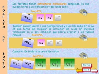 Cuando el ión fosfato se une al ión calcio
Ca3(PO4)2
PO4
-
-
-
+
Na
+
Na +
H
Los fosfatos tienen estructuras moleculares complejas, ya que
pueden unirse a un hidrogenión y dos iones sodio.
Na2HPO4
También pueden unirse a dos hidrogeniones y a un solo sodio. En orina
es una forma de asegurar la excreción de ácido sin mayores
variaciones en el pH, condición que podría afectar a los túbulos
renales. NaH2PO4
PO
4
-
-
- Ca
+
+ Ca
+
+
Ca
+
+
PO
4
-
-
-
F
F
O
O
S
S
F
F
A
A
T
T
O
O
D
D
E
E
S
S
O
O
D
D
I
I
O
O
PO
4
-
-
-
+
Na +
H +
H
5 de 5
clic
clic
clic
Menú
 