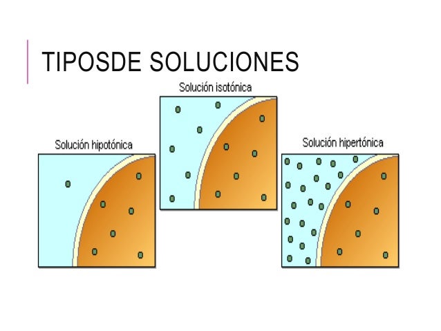 Composicion Quimica De Las Soluciones Acuosas mavink.com