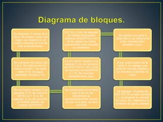Se disponen 3 series de 4
tubos de ensayo cada una
según se muestra en el
cuadro indicado al final de
este procedimiento.
Se numeran los tubos del
1 al 4. Se colocan en los
tubos número 1 de cada
serie 5 mL de agua
destilada hervida y fría.
En los tubos número 2 se
agregan 5 mL de solución
de KCl al 1 %.5. Se
agregan 2 mL de solución
de fosfato diácido de
potasio (KH2PO4)
Se comprueba en la serie
I, que el pH de las
soluciones es
aproximadamente neutro,
se usa una gota de azul
bromotil
En los tubos número 4 se
colocan 2 mL de solución
de KH2 PO4 0.1 M y 3 mL
de solución de Na2HPO4
0.1 M. Se mezclan
perfectamente bien.
0.01 M y 3 mL de solución
de fosfato monoácido
disódico (Na2HPO4) 0.01
M Se agitan los tubos
suavemente para mezclar
su contenido.
Se agrega una gota a
cada tubo y se observa el
color característico
amarillo o azul.
A los cuatro tubos de la
serie II, se agrega una
gota de naranja metildo y
se observa el cambio de
color.
se agregan 10 gotas de
HCl 0.01 M al tubo número
1 y se observa el cambio
de color. Se determina la
cantidad de gotas usadas.
 