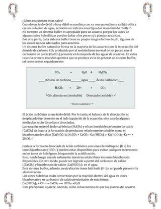 ¿Cómo reaccionan estas sales?
Cuando un ácido débil o base débil se combina con su correspondiente sal hidrolítica
en una solución de agua, se forma un sistema amortiguador denominado "buffer".
No siempre un sistema buffer es apropiado para un acuario porque los iones de
algunas sales hidrolíticas pueden dañar a los peces y/o plantas acuáticas.
Por otra parte, cada sistema buffer tiene su propio rango efectivo de pH, algunos de
los cuales no son adecuados para acuarios.
Un sistema buffer natural se forma en la mayoría de los acuarios por la interacción del
dióxido de carbono CO2 producido por el metabolismo normal de los peces, con el
carbonato de calcio (CaCO3) presente en la mayoría de las aguas de acuarios. En estos
casos la primera reacción química que se produce es la de generar un sistema buffer,
tal como vemos seguidamente:
CO2 + H2O 4 H2CO3
_____Dióxido de carbono_________agua ______ Ácido Carbónico_____
H2CO3 → 2H+ + CO3
└Sin disociarse (insoluble) Disociado (soluble) ┘
→ÁCIDO CARBÓNICO→
El ácido carbónico es un ácido débil. Por lo tanto, el balance de la disociación es
desplazado fuertemente en el lado izquierdo de la ecuación; sólo una de algunas
moléculas están disueltas o disociadas.
La reacción entre el ácido carbónico (H2CO3) y el casi insoluble carbonato de calcio
(CaCO3) da lugar a la formación de productos relativamente solubles como el
bicarbonato de calcio [Ca(HCO3)2: H2CO3 + CaCO3→Ca (HCO3) 2→Ca(HCO3)2→Ca++ +
2HCO3-]
Junto a la forma no disociada de ácido carbónico con iones de hidrógeno (H+) los
iones bicarbonato (HCO3-) pueden estar disponibles para evitar cualquier incremento
en los iones de hidrógeno, bloqueando la acidificación.
Esto, desde luego, sucede solamente mientras están libres los iones bicarbonato
disponibles. De otro modo, puede ser logrado a partir del carbonato de calcio
((CaCO3) y bicarbonato de calcio (Ca(HCO)3)2 en el agua.
Este sistema buffer, además, neutraliza los iones hidróxilo (H-) y así puede prevenir la
alcalinización.
Los iones hidróxilo están convertidos por la reacción dentro del agua en iones
bicarbonato y en carbonato de calcio precipitados de esta forma:
Ca (HCO3)2 + OH- →CaCO3 →+ HCO3- +H2O
Este precipitado aparece, además, como consecuencia de que las plantas del acuario
 
